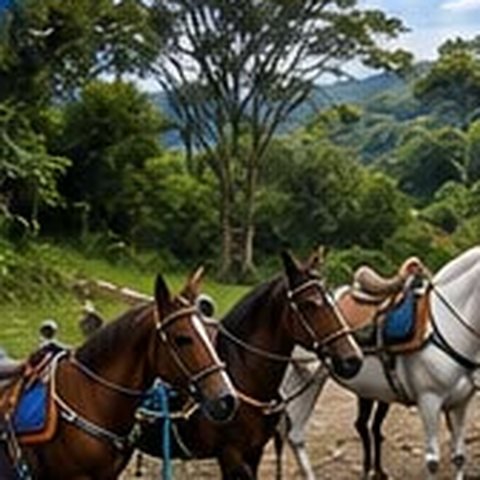 Tres caballos ensillados descansando en el sendero ecológico, rodeados de verde de campo