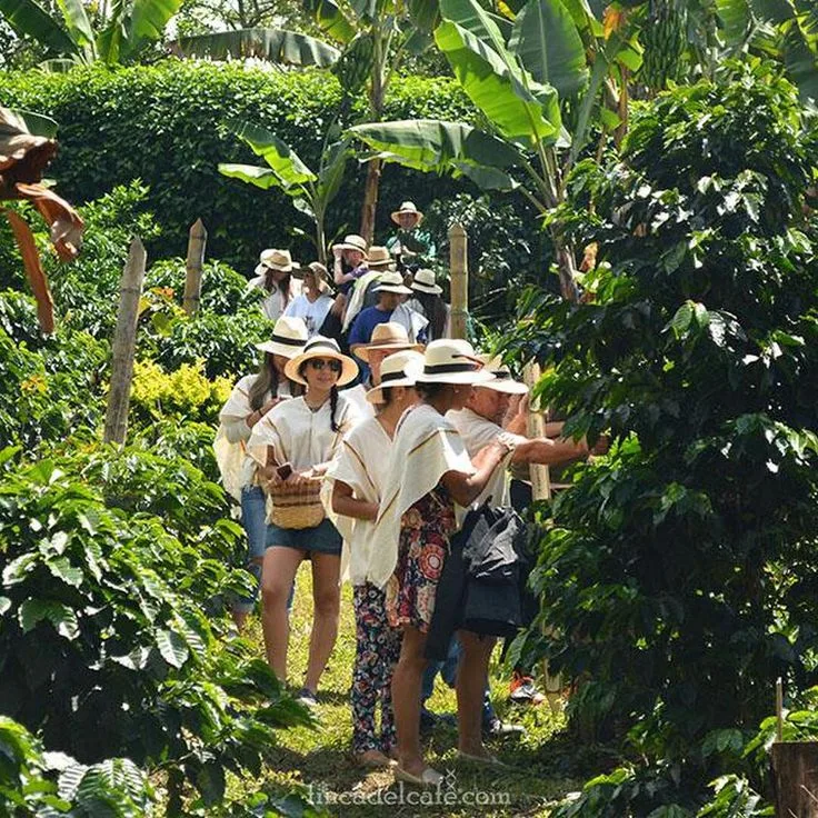 Taza de café humeante junto a un sombrero de finca